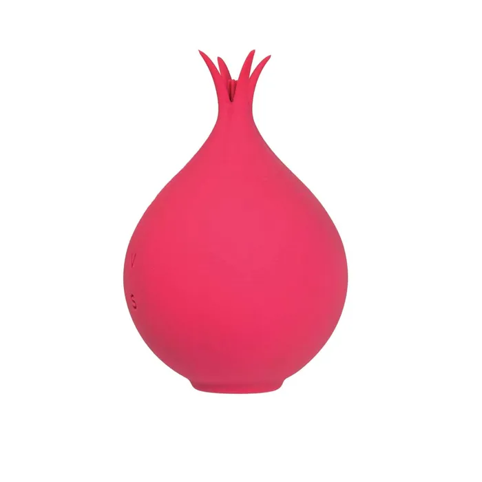 Princess Clittastic Suction Tickler Nasstoys Female Sex Toys