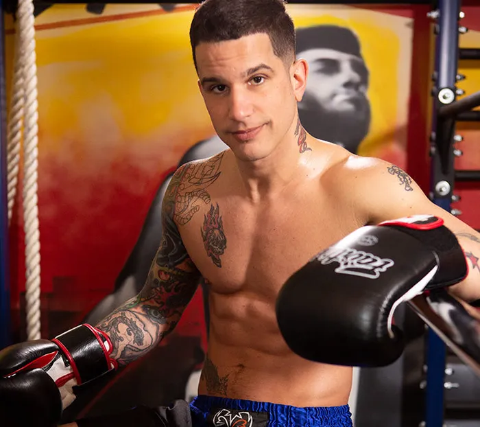 Fleshlight Pierre Fitch Vibrators