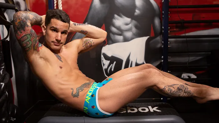 Fleshlight Pierre Fitch Vibrators