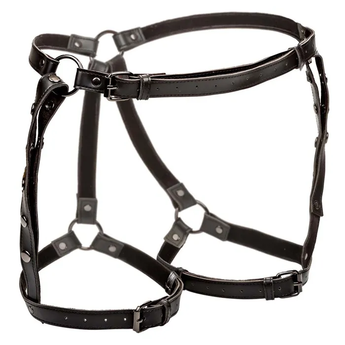 CalExotics Female Sex Toys Euphoria Riding Thigh Harness XL