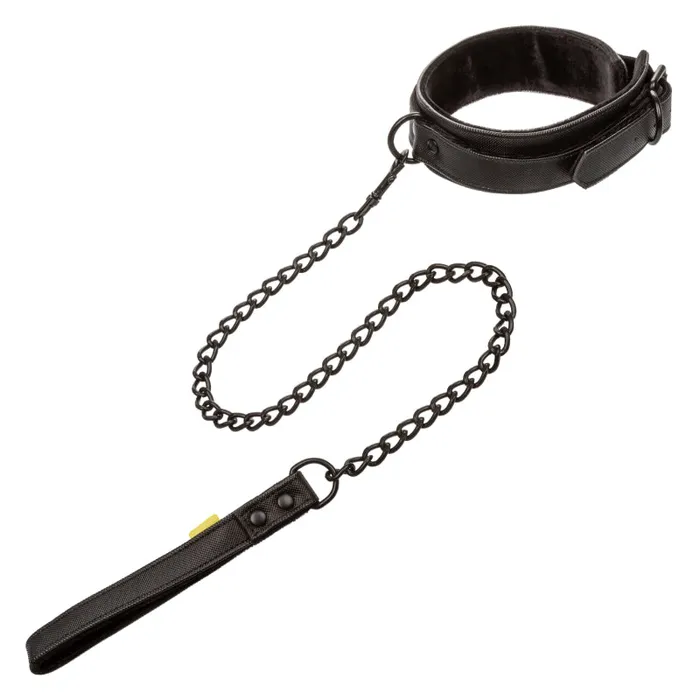 Boundless Collar Leash Calexotics Vibrators