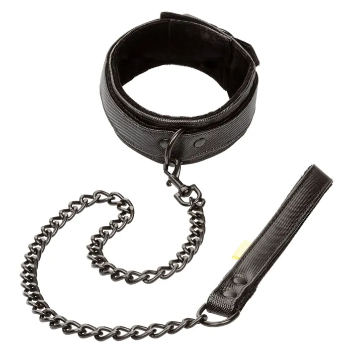 Boundless Collar Leash Calexotics Vibrators Boundless Collar Leash Calexotics Vibrators