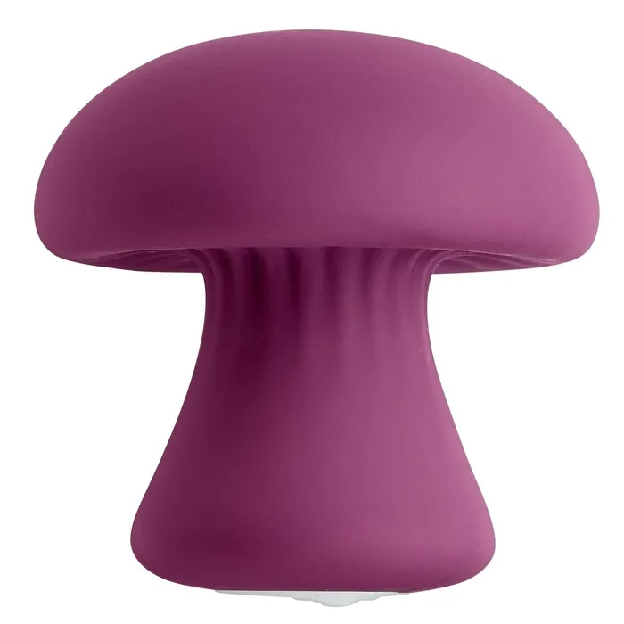 Cloud 9 Health Wellness Personal Mushroom Massager Xandebay Female Sex Toys