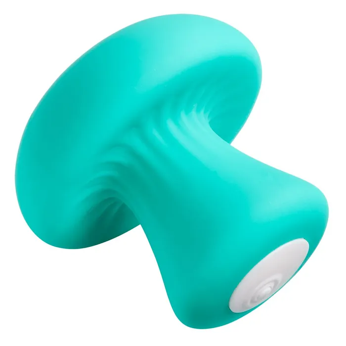 Cloud 9 Health Wellness Personal Mushroom Massager Xandebay Female Sex Toys