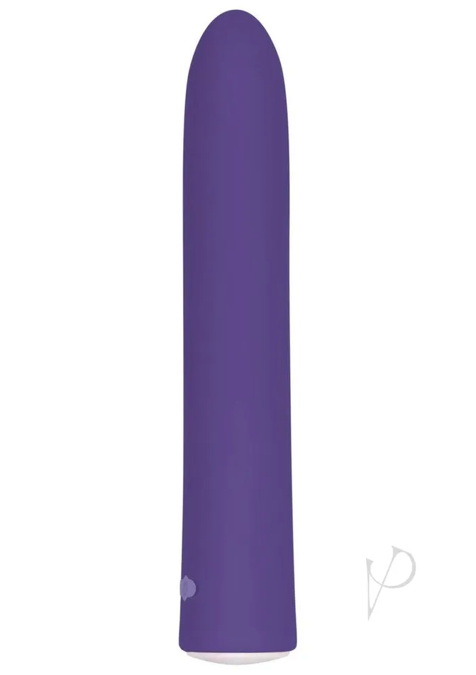 Evolved Vibrators Rechargeable Slim Purple