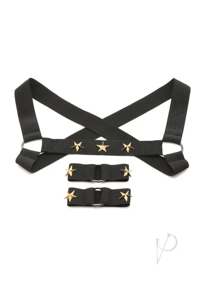 Female Sex Toys Master Series Ms Rave Chest Harness Sm Blkgld
