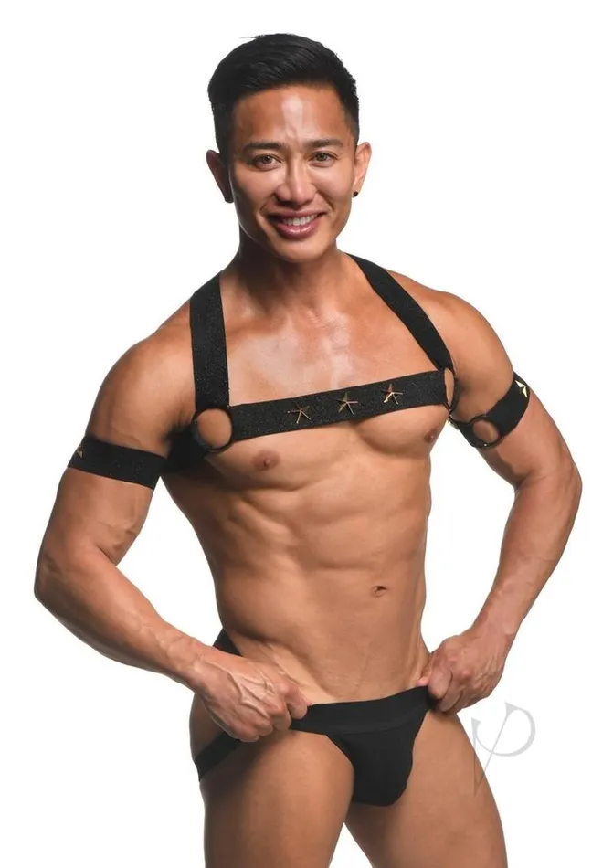 Female Sex Toys Master Series Ms Rave Chest Harness Sm Blkgld
