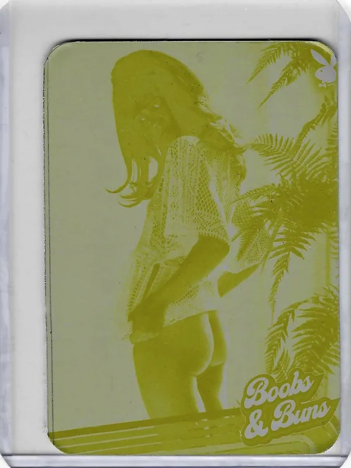 Greenthunderbirds Cards Vibrators Playboy Boobs Buns Printing Plate 76 Hedy Scott Greenthunderbirds Cards Vibrators Playboy Boobs Buns Printing Plate 76 Hedy Scott