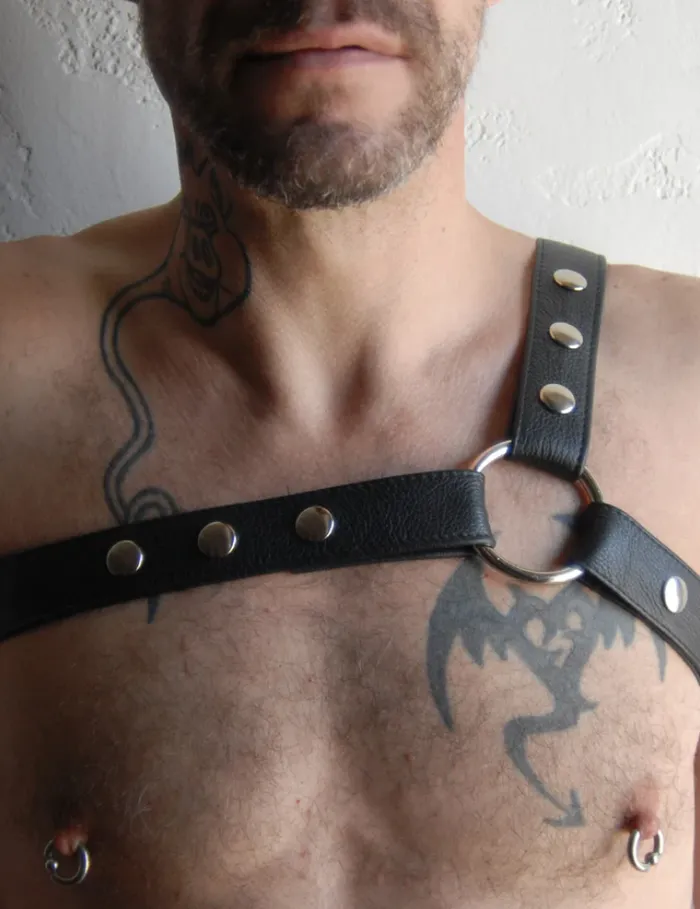 Champion Harness Stockroom Female Sex Toys