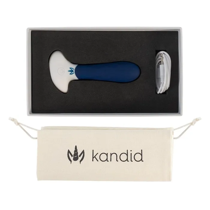 The Cheeky One Anal Anal Vibrator
